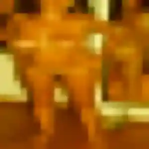 Morgane, fille de 34 ans propose plan cul à Beaumont-lès-Valence