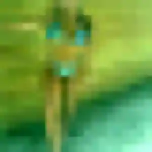 Malika, 41 ans, dispo pour plan cul à Calvi