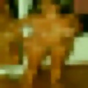 Profil de Mylene à Cassis (22 ans) - plan cul gratuit