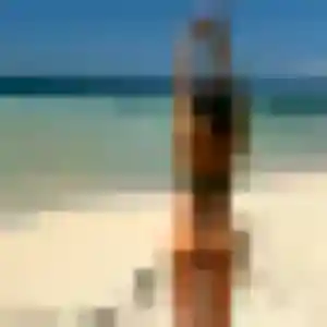Jolie Zelda, 20 ans à Châteauneuf-les-Martigues - la contacter