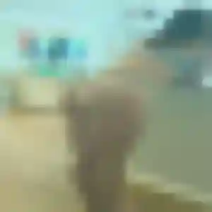 Contacte Sylviane, 45 ans à Chazelles-sur-Lyon gratuitement