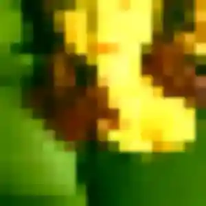 Photo de Clara à Chorges (35 ans) - plan cul gratuit