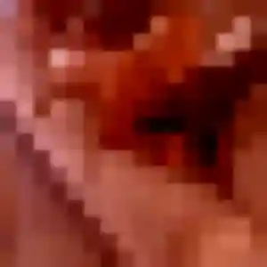 Découvre Sarah, 27 ans à Corte en privé