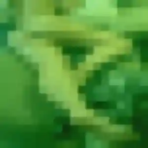Quitterie, 30 ans, disponible à Coubon pour une rencontre coquine