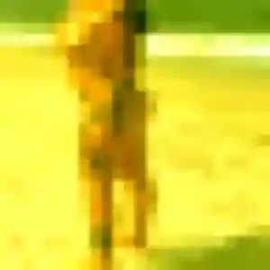 Rosemarie, 39 ans, en ligne à Entraigues-sur-la-Sorgue pour un plan cul