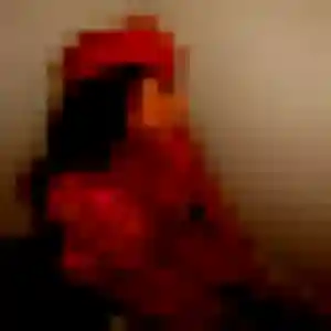 Imane (19 ans) à Flassans-sur-Issole cherche une rencontre aujourd'hui