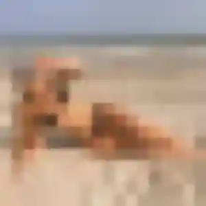 Mia, 29 ans, connectée à Fréjus pour un plan cul