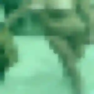 plan cul à Gannat : photo de Ketty, 22 ans - accès libre