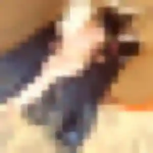 Charmante Johanna, 19 ans à Marseille - voir sa photo