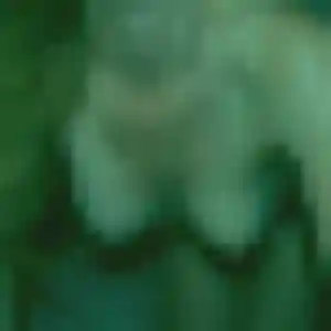 Profil de Rosemarie à Oraison (44 ans) - plan cul gratuit