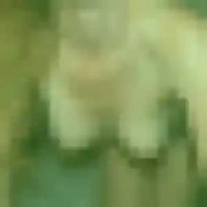 plan cul à Porto-Vecchio : photo de Hermine, 35 ans - inscription gratuite