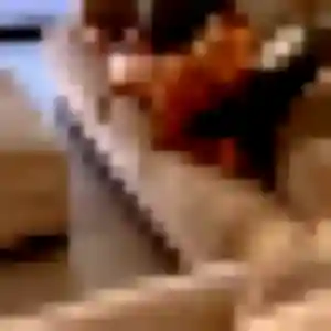 Anouk, 30 ans, en ligne à Rive-de-Gier pour une rencontre coquine
