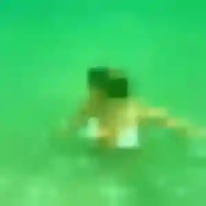 Photo sexy de Ingrid, 43 ans à Saint-Paul-Trois-Châteaux - plan discret