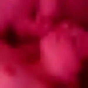 Photo de Lise à Sainte-Foy-lès-Lyon (38 ans) - plan cul anonyme