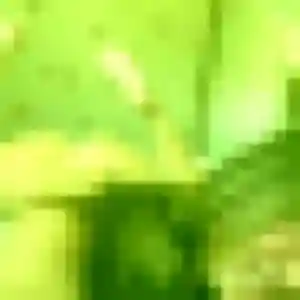 Yvette, 42 ans, dispo pour plan cul à Sainte-Maxime
