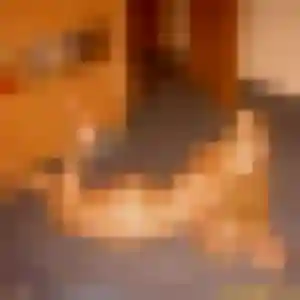 Photo privée de Natacha, 25 ans à Vernaison - rencontre sans lendemain