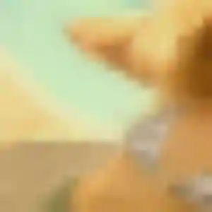 Zineb, 41 ans, cherche un plan cul à Vinon-sur-Verdon